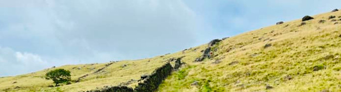 Chip Chase &&nbsp;Beers