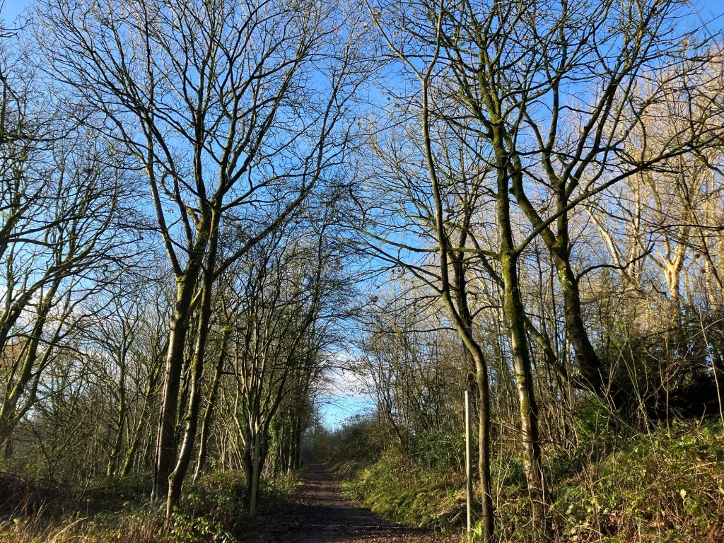 Orienteering at Daisy&nbsp;Nook